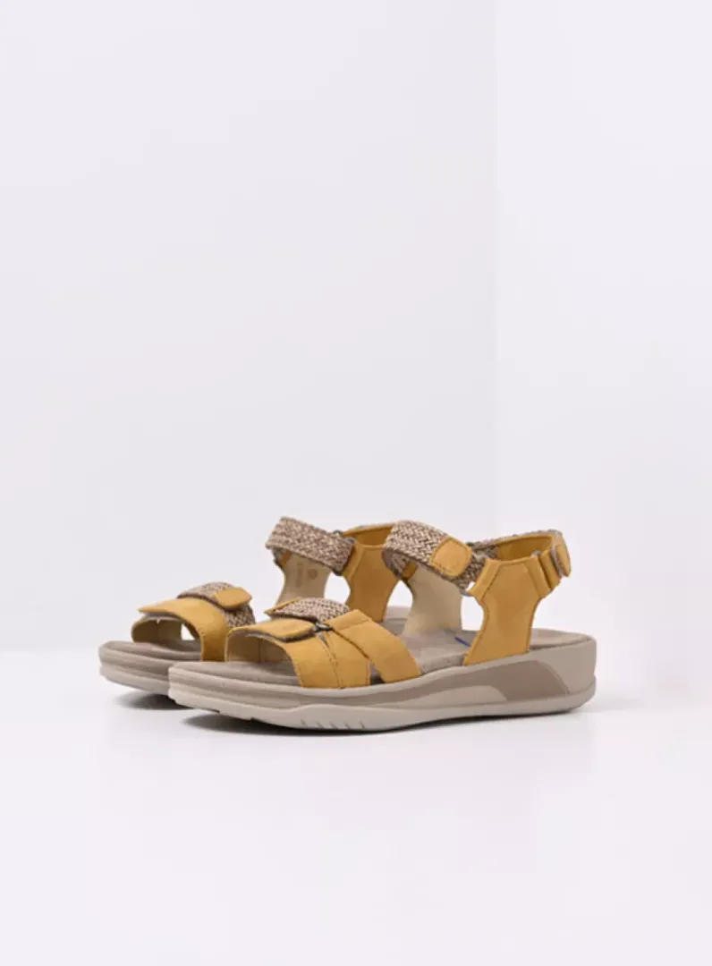Online Wolky Acula - amber nubuck ambernubuck