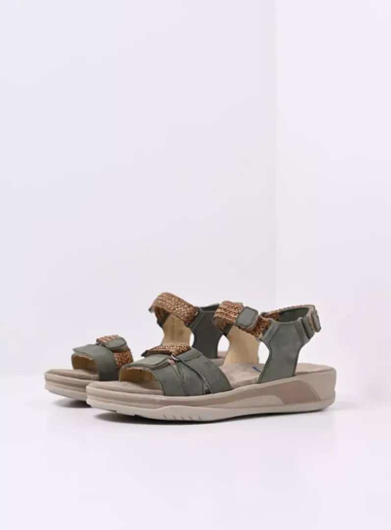 Best Wolky Acula - saliegroen nubuck saliegroennubuck