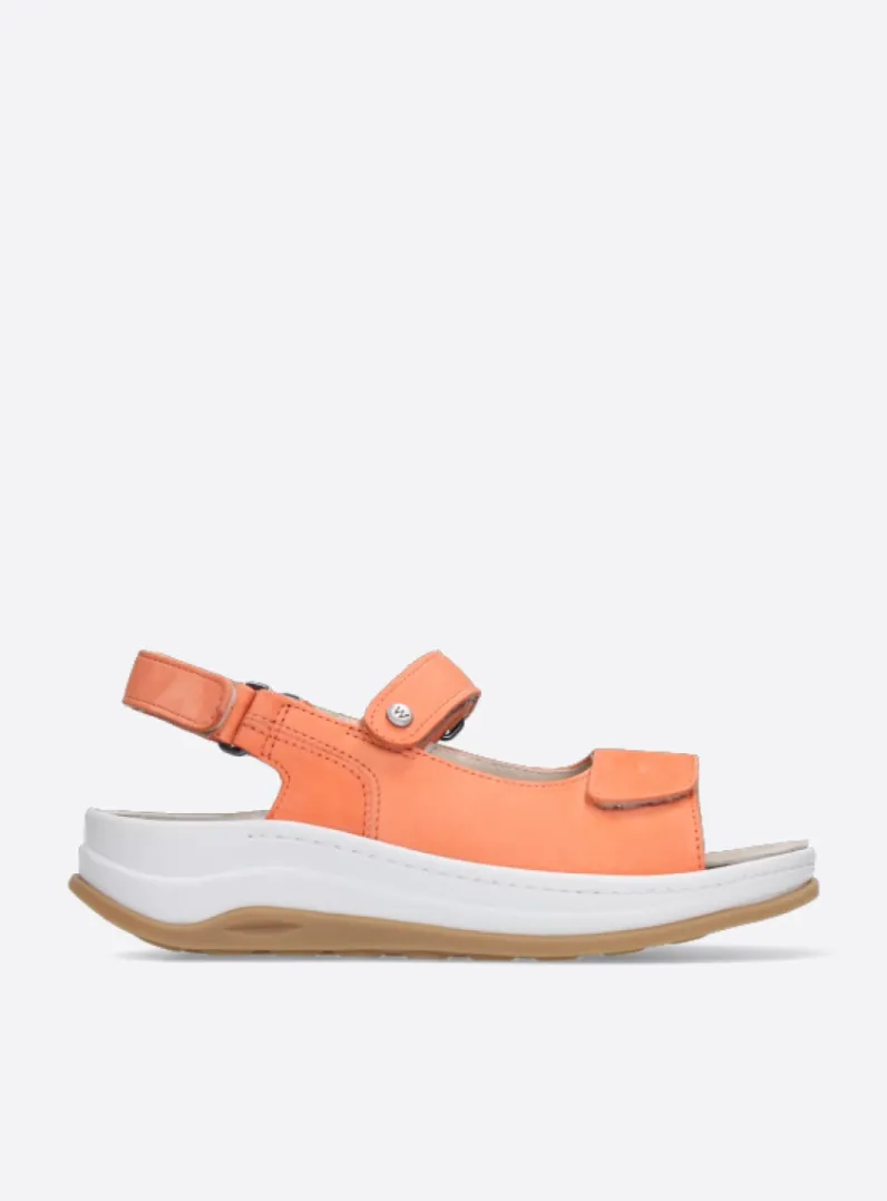 Cheap Wolky Adura - oranje nubuck oranjenubuck