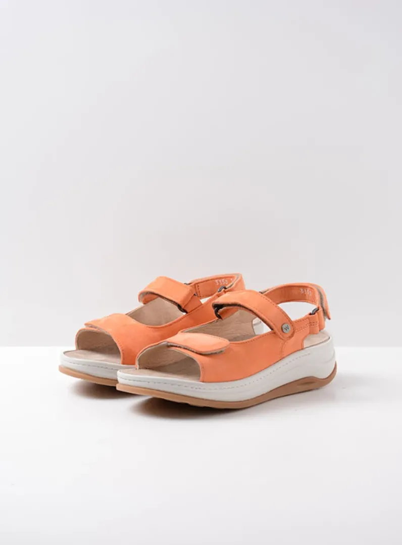 Cheap Wolky Adura - oranje nubuck oranjenubuck