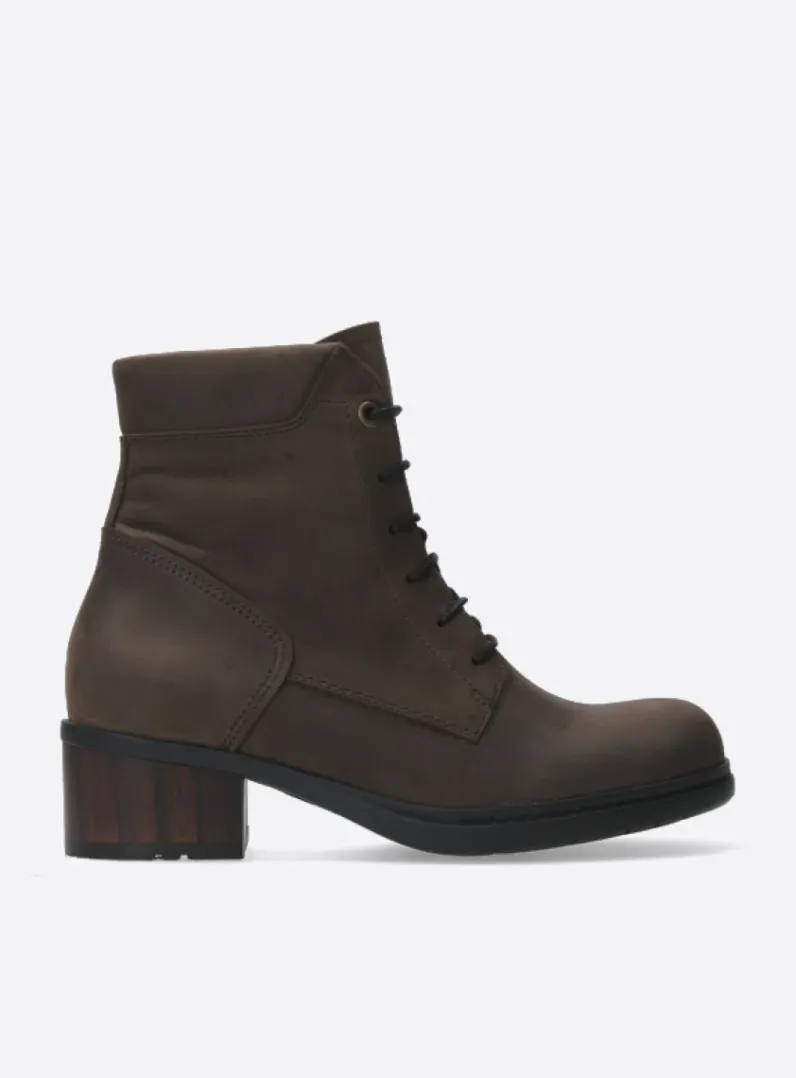Discount Wolky Edson XW - bruin nubuck bruinnubuck