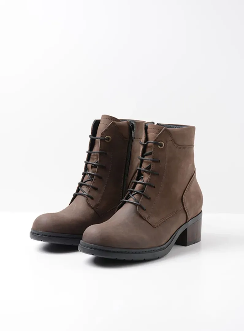 Discount Wolky Edson XW - bruin nubuck bruinnubuck