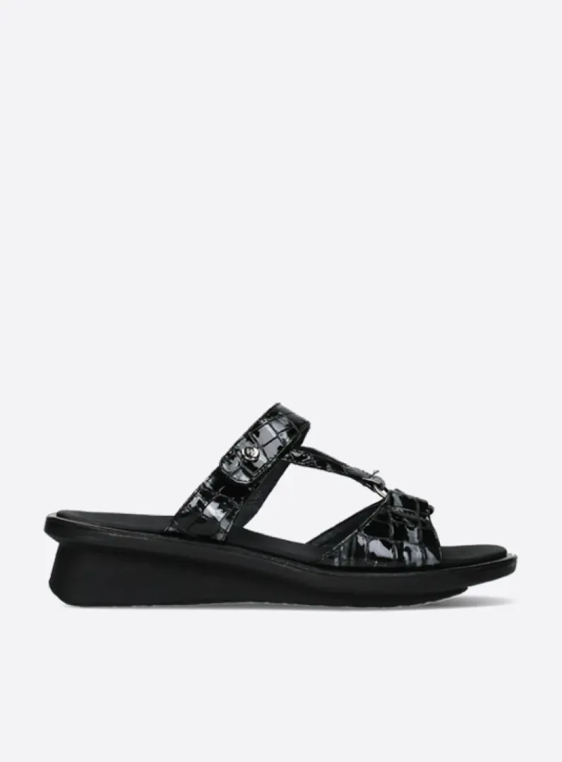 Sale Wolky Isa - antraciet croco lakleer antracietcrocolakleer