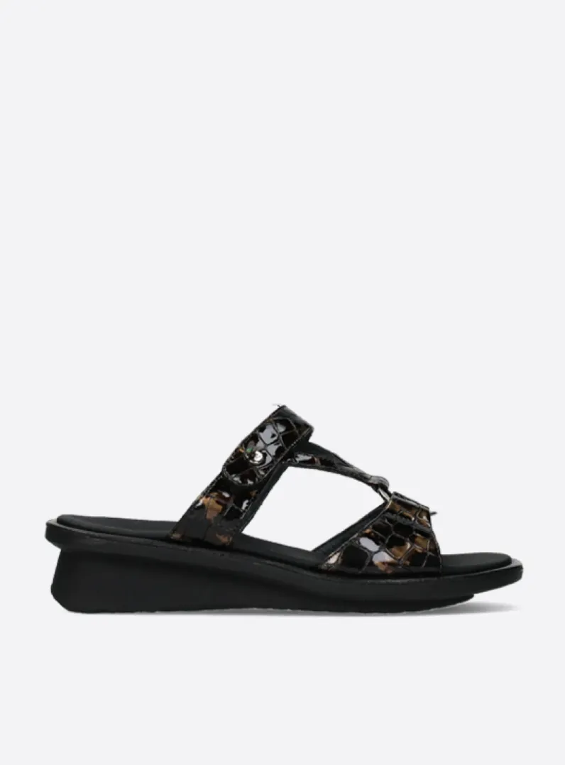 Shop Wolky Isa - brons croco lakleer bronscrocolakleer