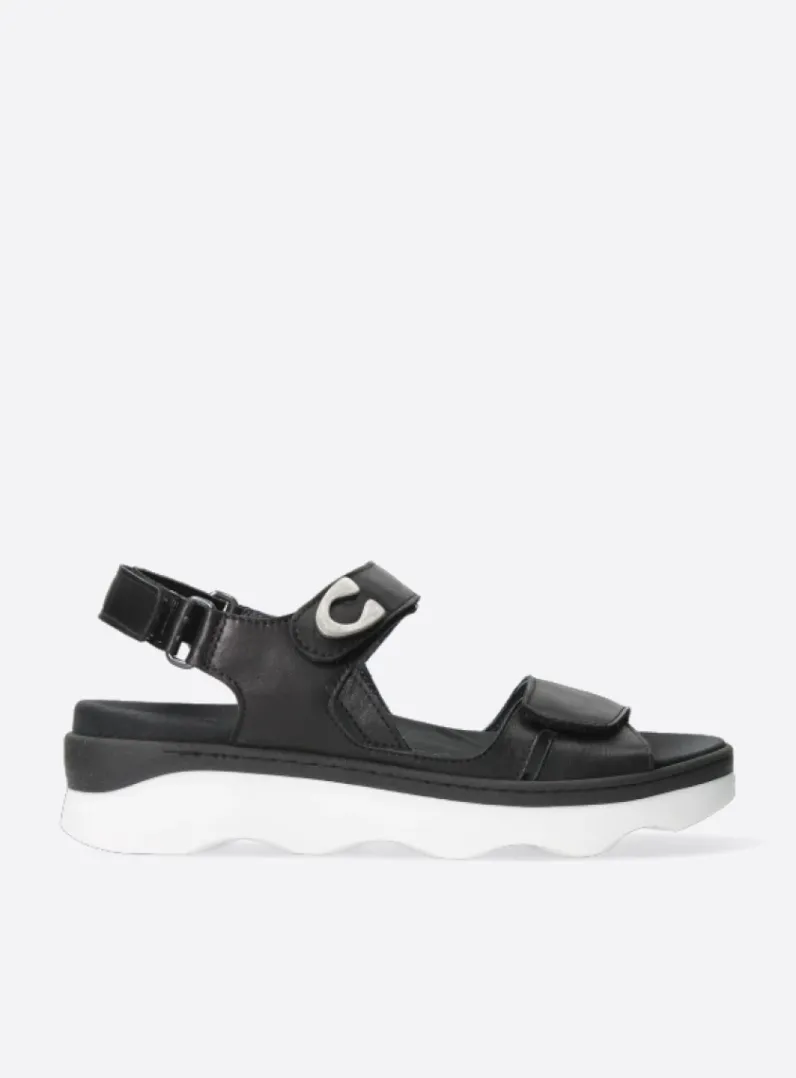Shop Wolky Medusa - zwart/wit leer zwart/witleer