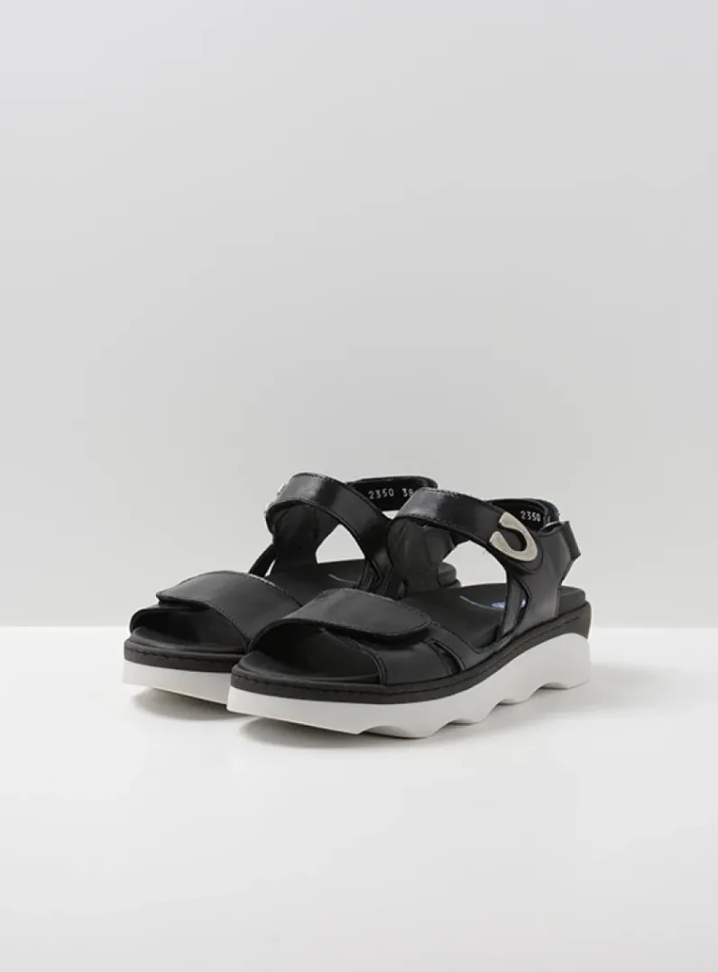 Shop Wolky Medusa - zwart/wit leer zwart/witleer