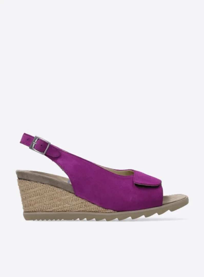 Shop Wolky Murcia - fuchsia suede fuchsiasuede
