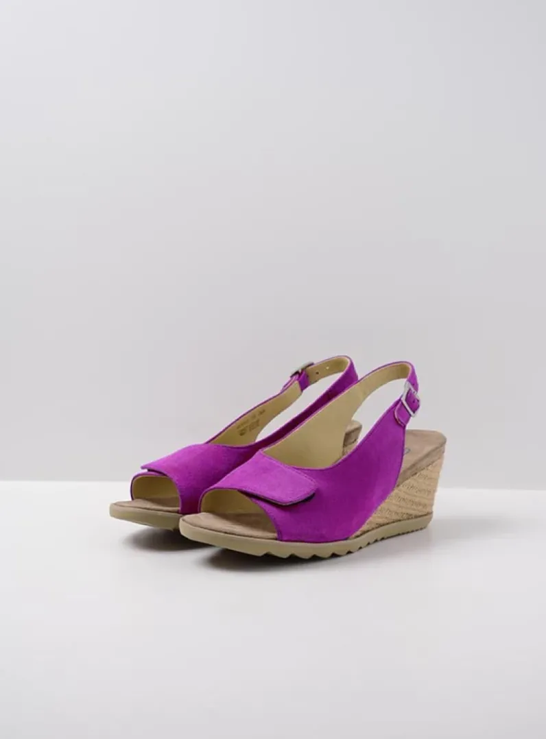 Shop Wolky Murcia - fuchsia suede fuchsiasuede