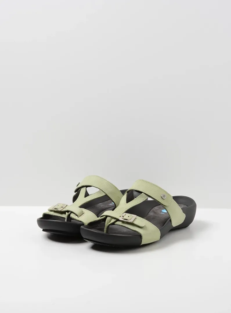 Best Wolky O'Connor - lichtgroen nubuck lichtgroennubuck