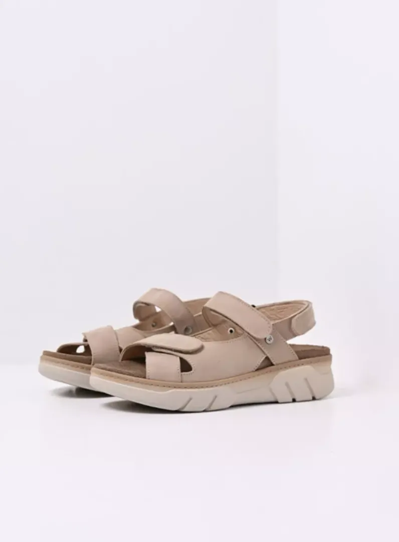 Shop Wolky Rapid - nubuck safari nubucksafari