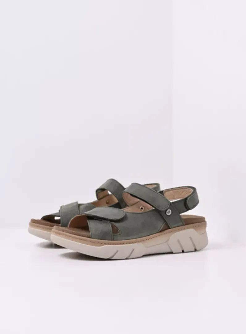 Cheap Wolky Rapid - saliegroen nubuck saliegroennubuck