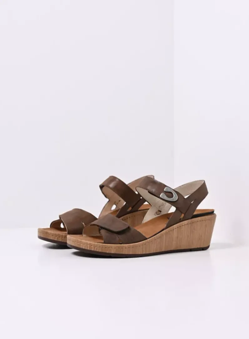 Shop Wolky Sanibel - cederbruin effectleer cederbruineffectleer